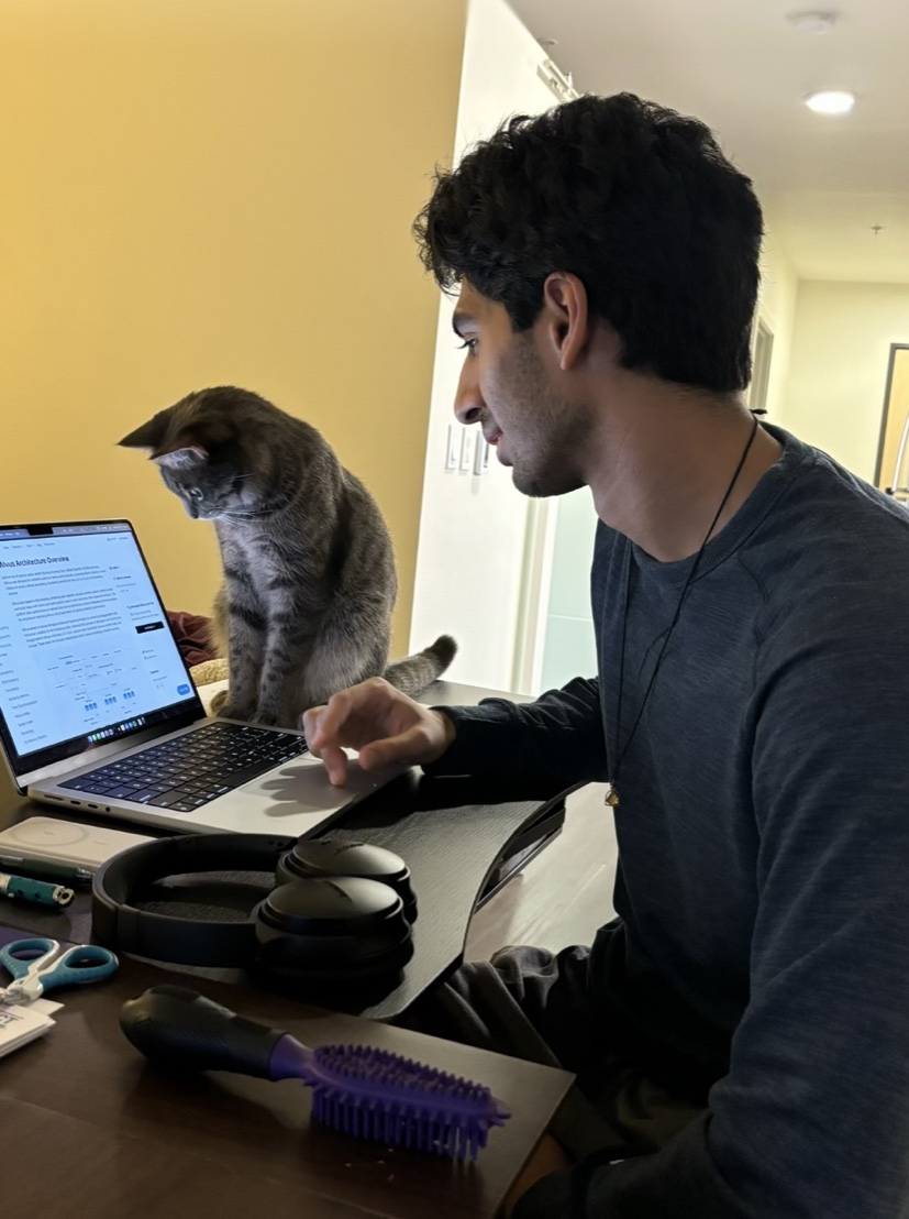 Yagnya working beside a cat